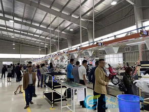 電動(dòng)車行業(yè)首家獨(dú)資海外工廠成立,雅迪助推中國制造走向世界