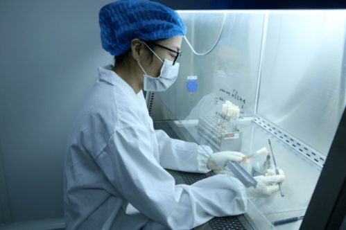 服務類 高新區優秀產業展示 二