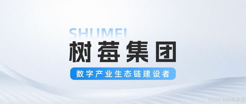 從ai到大數(shù)據(jù),數(shù)字技術(shù)服務(wù)平臺全棧賦能企業(yè)升級